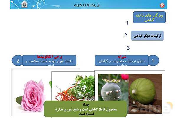 پاورپوینت تدریس زیست دهم تجربی | فصل 6: از یاخته تا گیاه  (گفتار 1 تا 3) - پیش نمایش