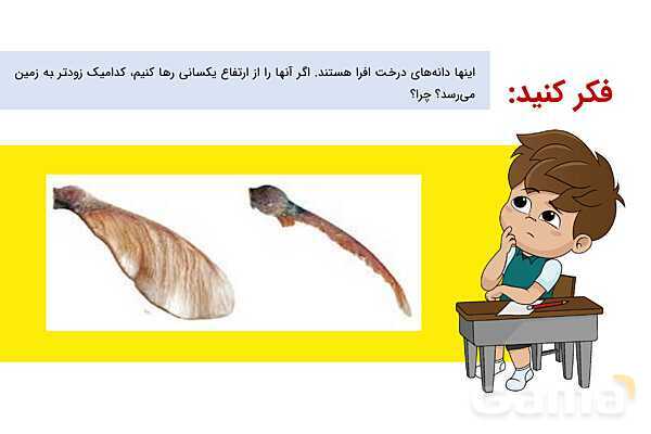 پاورپوینت علوم پنجم درس 1: زنگ علوم- پیش نمایش