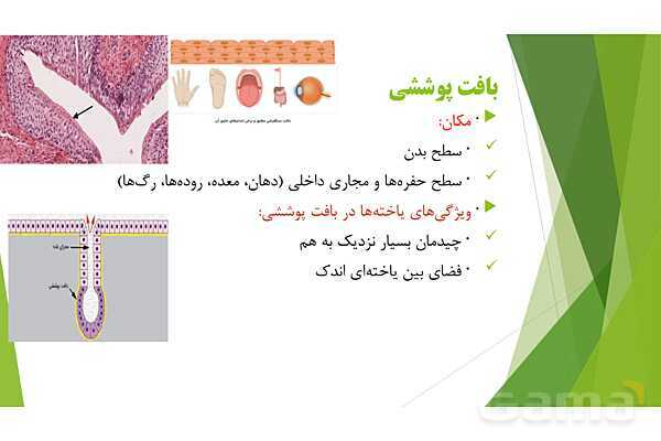 پاور آموزش کنکور محور زیست شناسی دهم | فصل 1 گفتار 3: انواع بافت های بدن انسان- پیش نمایش