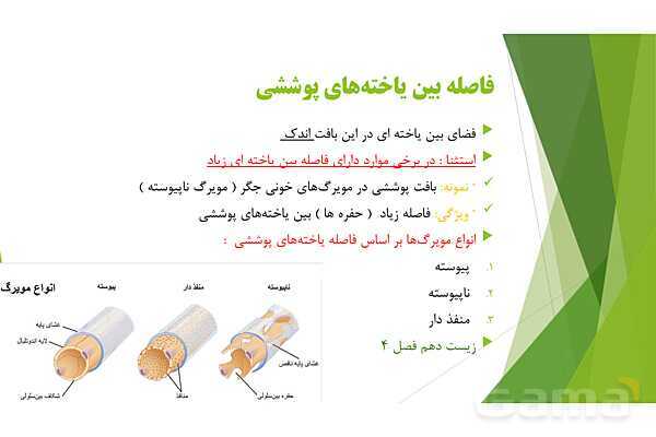 پاور آموزش کنکور محور زیست شناسی دهم | فصل 1 گفتار 3: انواع بافت های بدن انسان- پیش نمایش