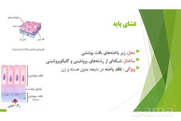 پاور آموزش کنکور محور زیست شناسی دهم | فصل 1 گفتار 3: انواع بافت های بدن انسان- پیش نمایش