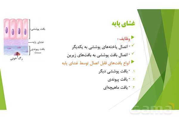 پاور آموزش کنکور محور زیست شناسی دهم | فصل 1 گفتار 3: انواع بافت های بدن انسان- پیش نمایش