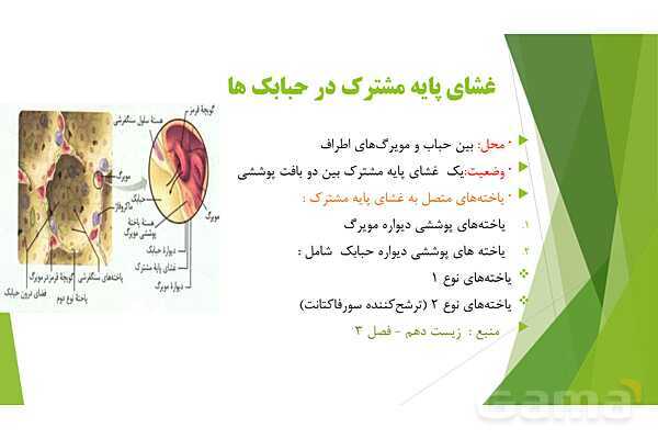 پاور آموزش کنکور محور زیست شناسی دهم | فصل 1 گفتار 3: انواع بافت های بدن انسان- پیش نمایش