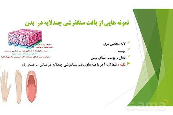 پاور آموزش کنکور محور زیست شناسی دهم | فصل 1 گفتار 3: انواع بافت های بدن انسان- پیش نمایش