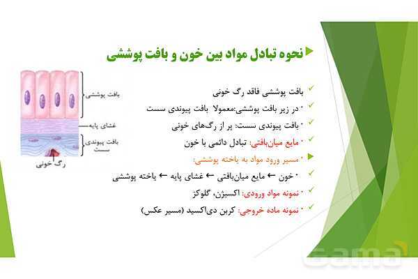 پاور آموزش کنکور محور زیست شناسی دهم | فصل 1 گفتار 3: انواع بافت های بدن انسان- پیش نمایش
