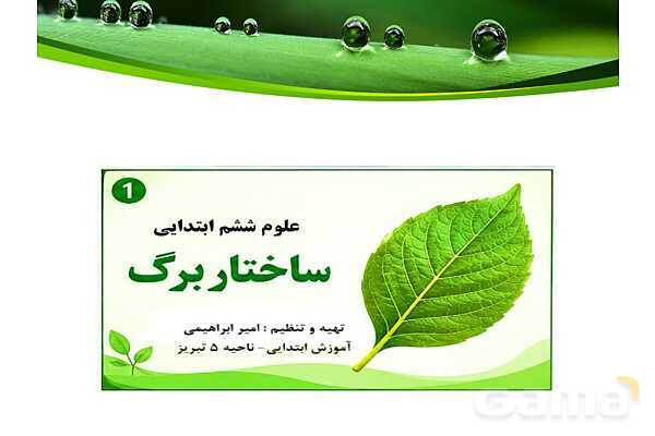 پاورپوینت شگفتی‌های برگ درس 11 علوم ششم- پیش نمایش