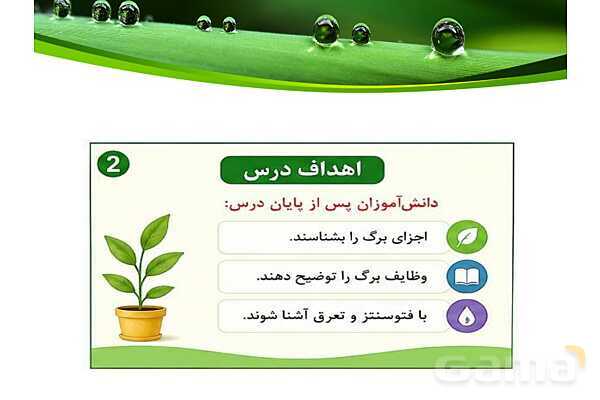 پاورپوینت شگفتی‌های برگ درس 11 علوم ششم- پیش نمایش