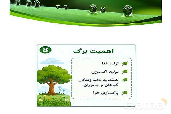 پاورپوینت شگفتی‌های برگ درس 11 علوم ششم- پیش نمایش