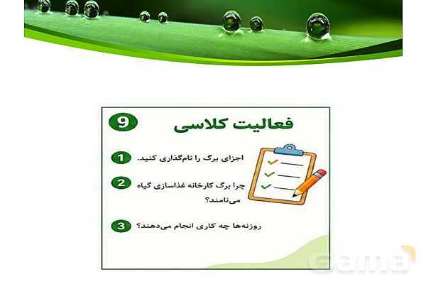 پاورپوینت شگفتی‌های برگ درس 11 علوم ششم- پیش نمایش
