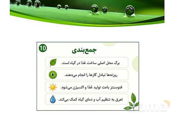 پاورپوینت شگفتی‌های برگ درس 11 علوم ششم- پیش نمایش