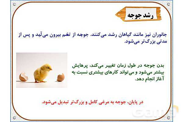 پاورپوینت مطالعات اجتماعی سوم دبستان | درس 2: من بزرگ‌تر شده‌ام- پیش نمایش