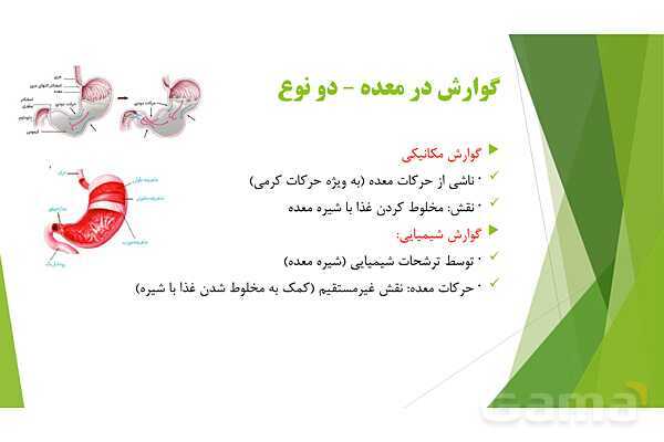 پاور آموزش کنکور محور زیست شناسی دهم | فصل 2 گفتار 1: گوارش در معده