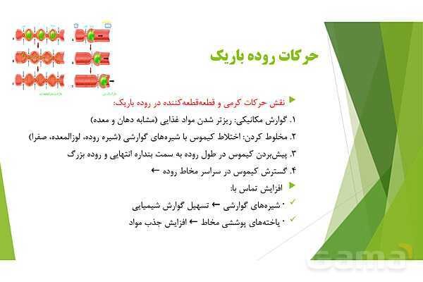 پاور آموزش کنکور محور زیست شناسی دهم | فصل 2 گفتار 1: گوارش در رودۀ باریک