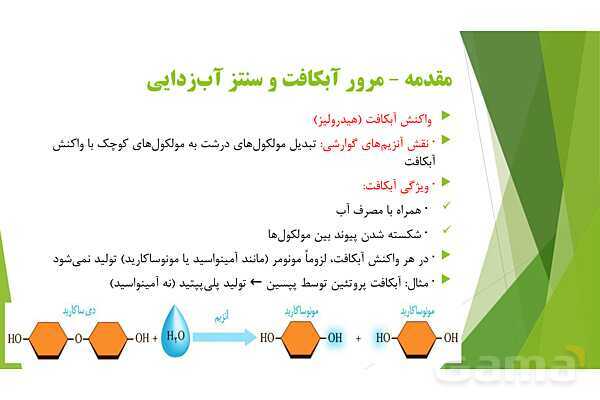 پاور آموزش کنکور محور زیست شناسی دهم | فصل 2 گفتار 1: گوارش کربوهیدرات‌ها، پروتئین‌ها و تری گلیسریدها