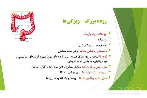 پاور آموزش کنکور محور زیست شناسی دهم | فصل 2 گفتار 2: روده بزرگ و دفع