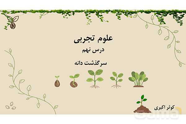 پاور علوم دوم ابتدایی درس 9: سرگذشت دانه