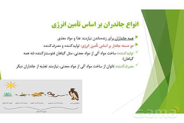 پاور آموزش کنکور محور زیست شناسی دهم | فصل 2 گفتار 3: واکوئول گوارشی و حفره گوارشی