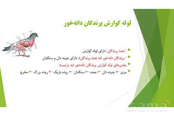 پاور آموزش کنکور محور زیست شناسی دهم | فصل 2 گفتار 3: لوله گوارش پرندگان دانه خوار و نشخوار کنندگان