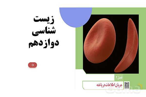 پاورپوینت فصل دوم زیست دوازدهم: جریان اطلاعات در یاخته