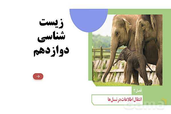 پاورپوینت فصل سوم زیست دوازدهم: انتقال اطلاعات در نسل‌ها