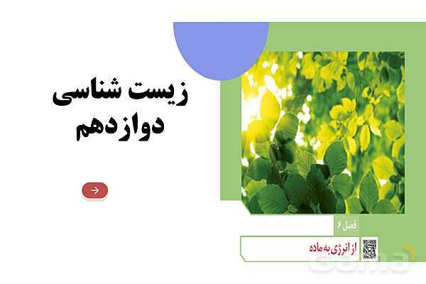 پاورپوینت فصل ششم زیست دوازدهم: از انرژی به ماده