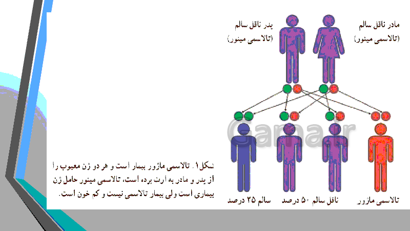 پاورپوینت سلامت و بهداشت دوازدهم | درس 9: بهداشت ازدواج و باروری- پیش نمایش