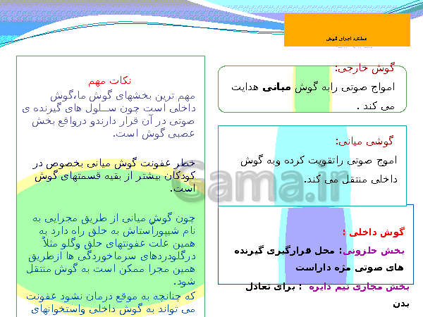 پاورپوینت تدریس کامل علوم تجربی هشتم  | فصل 5: حس و حرکت- پیش نمایش