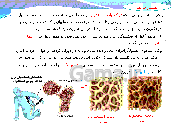 پاورپوینت تدریس کامل علوم تجربی هشتم  | فصل 5: حس و حرکت- پیش نمایش