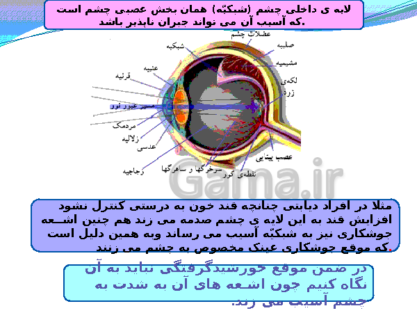 پاورپوینت تدریس کامل علوم تجربی هشتم  | فصل 5: حس و حرکت- پیش نمایش