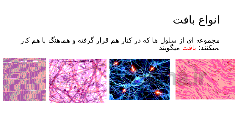 پاورپوینت علوم تجربی هفتم | فصل 11: یاخته و سازمان بندی آن- پیش نمایش