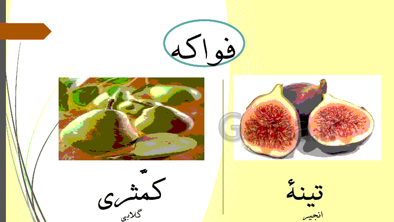 پاورپوینت آموزشی عربی نهم l رنگ ها و میوه ها به عربی- پیش نمایش