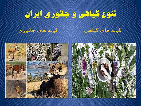 پاورپوینت مطالعات اجتماعی هفتم | درس ١٢: حفاظت از زیستگاه‌های ایران- پیش نمایش