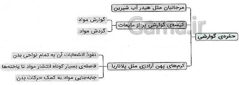 پاورپوینت گفتار 4 از فصل 4 زیست دهم | تنوع گردش مواد در جانداران- پیش نمایش