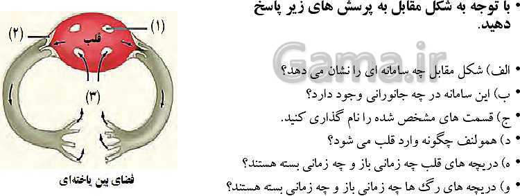 پاورپوینت گفتار 4 از فصل 4 زیست دهم | تنوع گردش مواد در جانداران- پیش نمایش