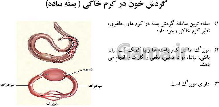 پاورپوینت گفتار 4 از فصل 4 زیست دهم | تنوع گردش مواد در جانداران- پیش نمایش