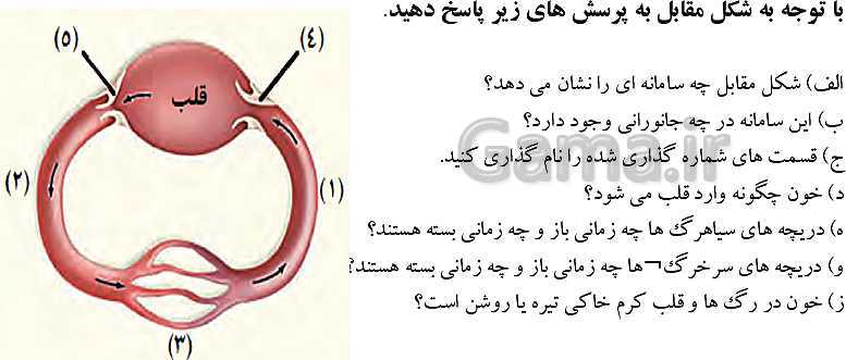 پاورپوینت گفتار 4 از فصل 4 زیست دهم | تنوع گردش مواد در جانداران- پیش نمایش