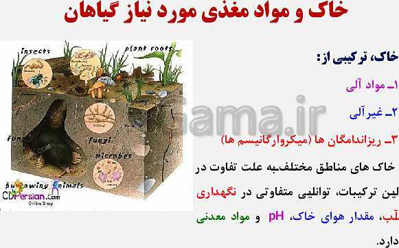 پاورپوینت زیست شناسی (1) دهم تجربی | فصل 7: جذب و انتقال مواد در گیاهان (گفتار 1 تا 3)- پیش نمایش