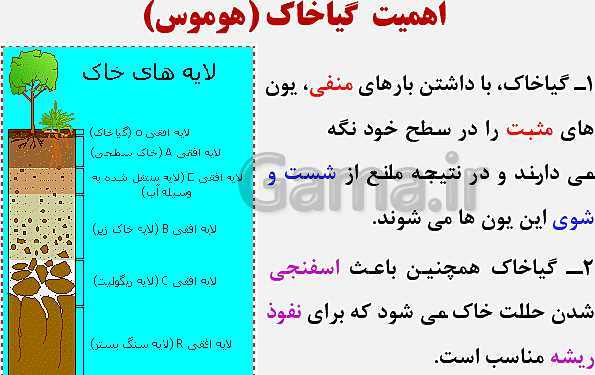 پاورپوینت زیست شناسی (1) دهم تجربی | فصل 7: جذب و انتقال مواد در گیاهان (گفتار 1 تا 3)- پیش نمایش