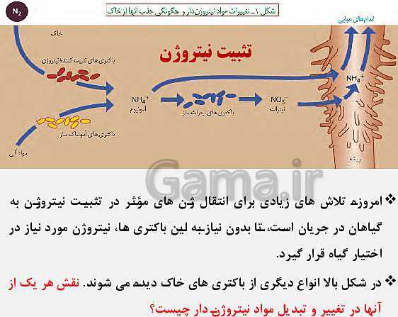 پاورپوینت زیست شناسی (1) دهم تجربی | فصل 7: جذب و انتقال مواد در گیاهان (گفتار 1 تا 3)- پیش نمایش