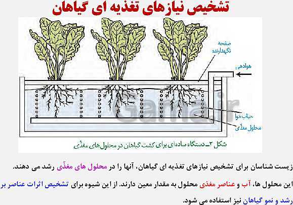 پاورپوینت زیست شناسی (1) دهم تجربی | فصل 7: جذب و انتقال مواد در گیاهان (گفتار 1 تا 3)- پیش نمایش