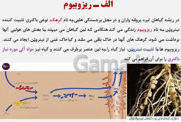 پاورپوینت زیست شناسی (1) دهم تجربی | فصل 7: جذب و انتقال مواد در گیاهان (گفتار 1 تا 3)- پیش نمایش