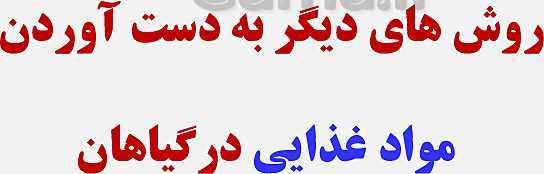 پاورپوینت زیست شناسی (1) دهم تجربی | فصل 7: جذب و انتقال مواد در گیاهان (گفتار 1 تا 3)- پیش نمایش