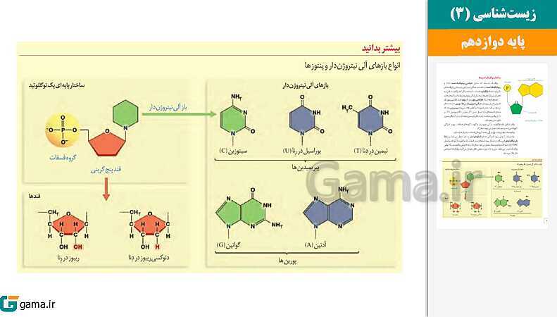 پاورپوینت کتاب محور ویژه تدریس مجازی زیست شناسی (3) دوازدهم تجربی | فصل 1 تا 8- پیش نمایش