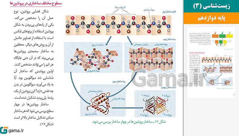 پاورپوینت کتاب محور ویژه تدریس مجازی زیست شناسی (3) دوازدهم تجربی | فصل 1 تا 8- پیش نمایش