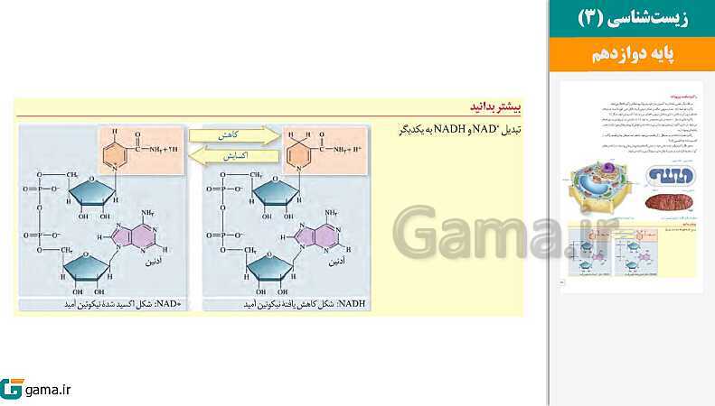 پاورپوینت کتاب محور ویژه تدریس مجازی زیست شناسی (3) دوازدهم تجربی | فصل 1 تا 8- پیش نمایش