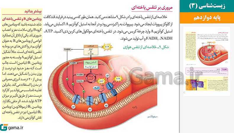 پاورپوینت کتاب محور ویژه تدریس مجازی زیست شناسی (3) دوازدهم تجربی | فصل 1 تا 8- پیش نمایش