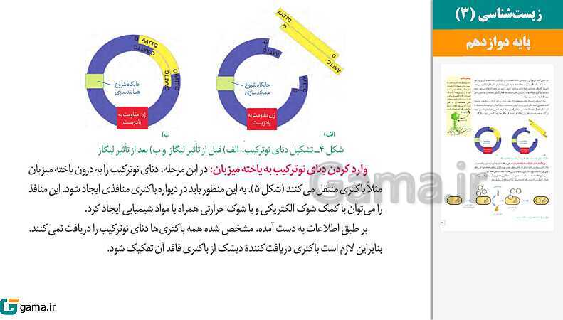 پاورپوینت کتاب محور ویژه تدریس مجازی زیست شناسی (3) دوازدهم تجربی | فصل 1 تا 8- پیش نمایش