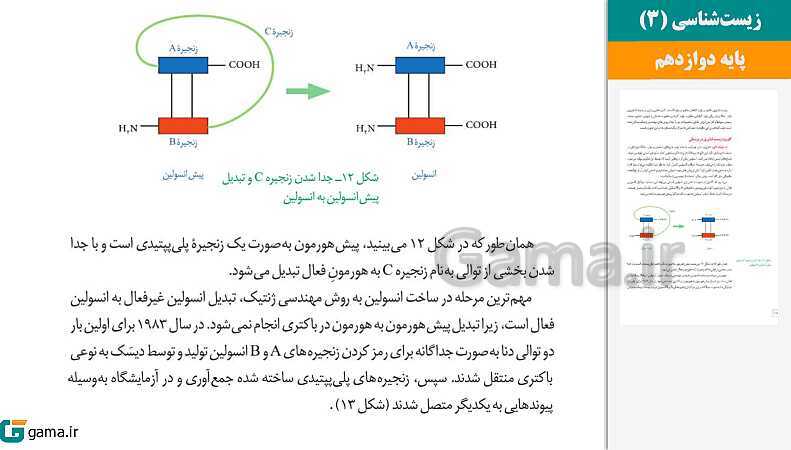 پاورپوینت کتاب محور ویژه تدریس مجازی زیست شناسی (3) دوازدهم تجربی | فصل 1 تا 8- پیش نمایش