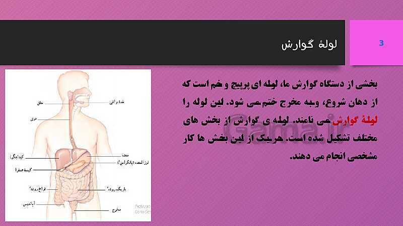 پاورپوینت کنفرانس علوم تجربی هفتم | فصل 13: سفر غذا- پیش نمایش