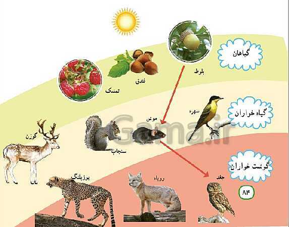 پاورپوینت آموزش مطالعات اجتماعی کلاس چهارم | درس 19: از محیط زیست مراقبت کنیم- پیش نمایش